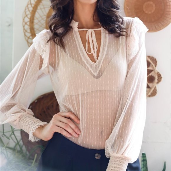 Blush Sheer Mesh Polka Dot Frill Trim Long Sleeve - Picture 2 of 4